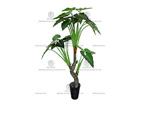 ��ˮ����