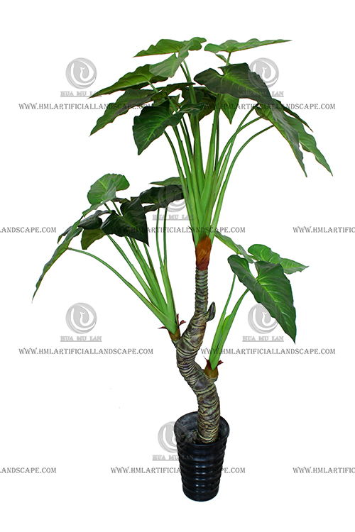 ��ˮ����