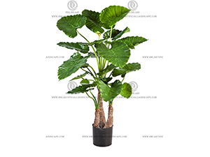 ��ˮ����