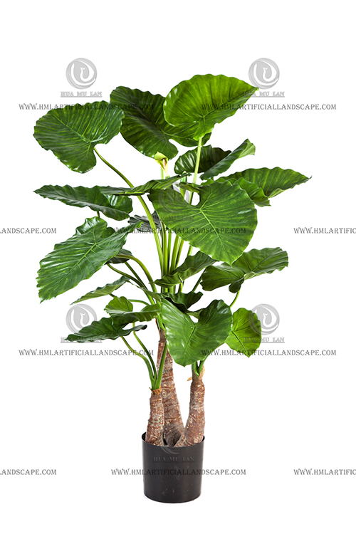 ��ˮ����