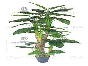 ��ˮ����