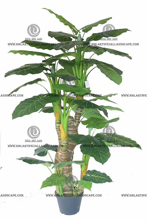 ��ˮ����