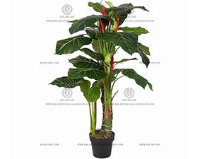 ��ˮ����