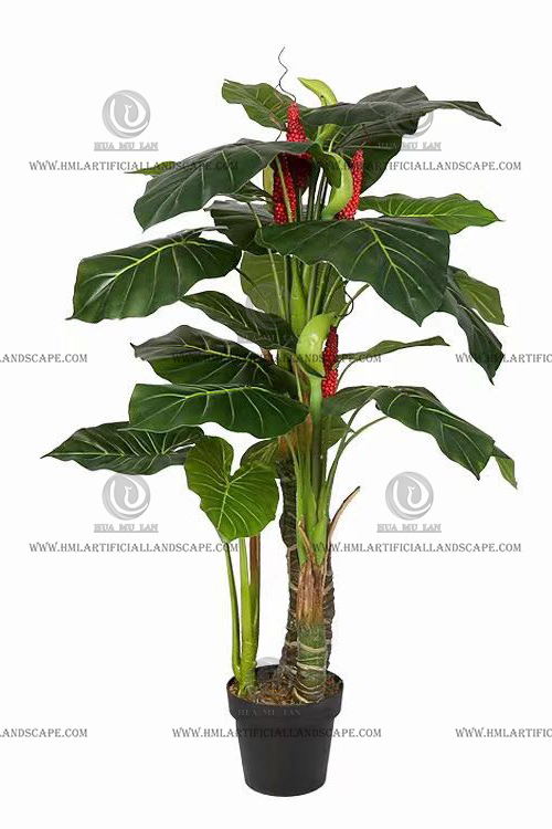 ��ˮ����