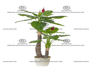 ��ˮ����