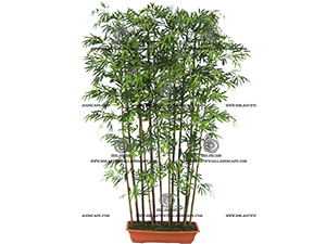 �ձ�����