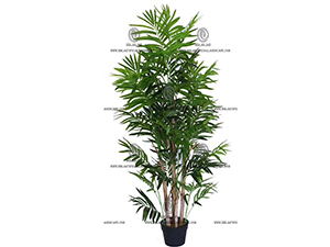 ����Ҷ��