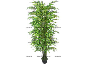 �ձ�����