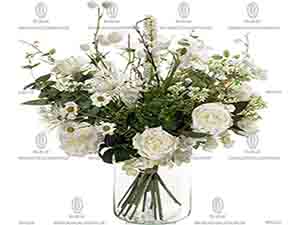 206201 ����1