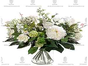 206202 ����2