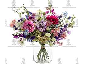 206203 ����3