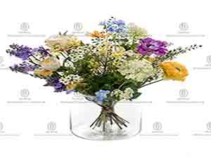 206206 ����6