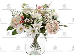 206204 ����4