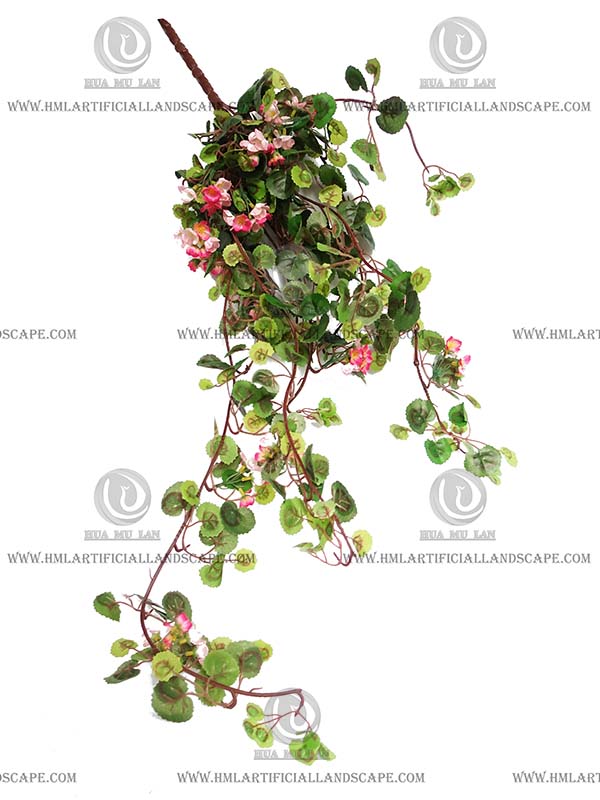 ���Ļ��ڹ�