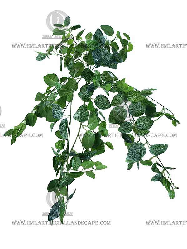 �����ڹ�