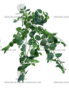 �����ڹ�