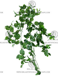 �����ڹ�