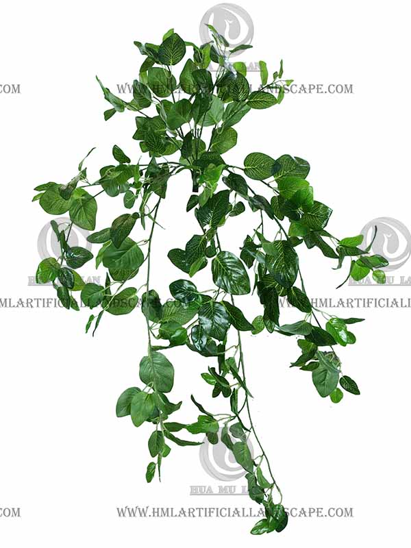 �����ڹ�