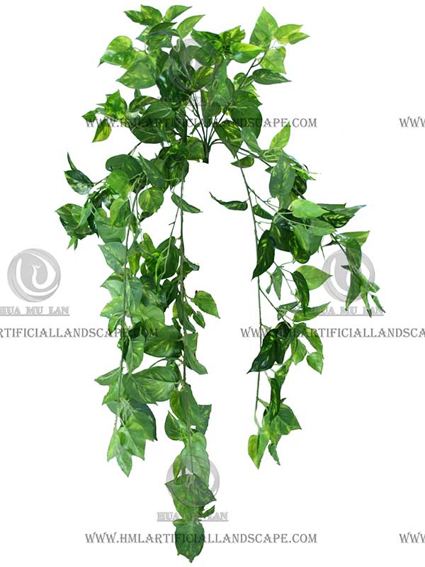 ������ڹ�