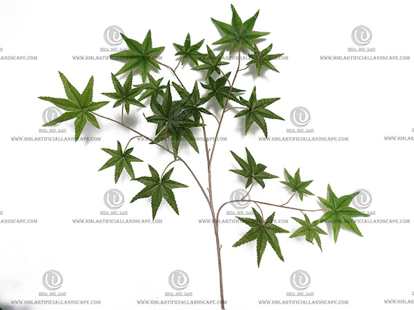 ����Ҷ��֦