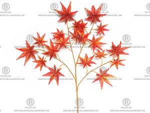 ����Ҷ��֦