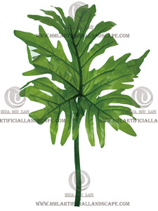 �ָд�걳Ҷ��ǳ��