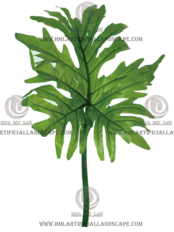 �ָд�걳Ҷ��ǳ��