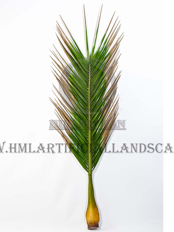 ����Ҭ��Ҷ