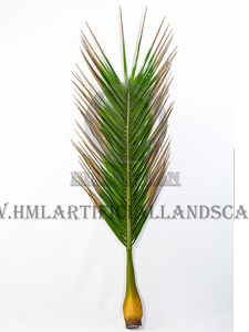 ����Ҭ��Ҷ