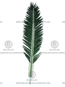 ���⺣��Ҷ