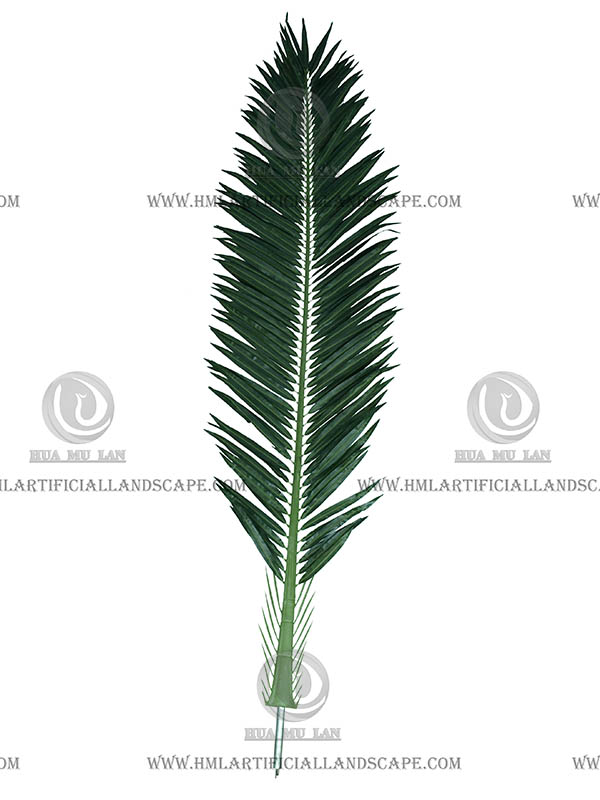 ���⺣��Ҷ