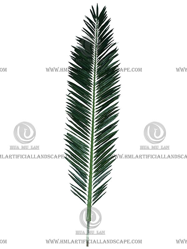 ���⺣��Ҷ