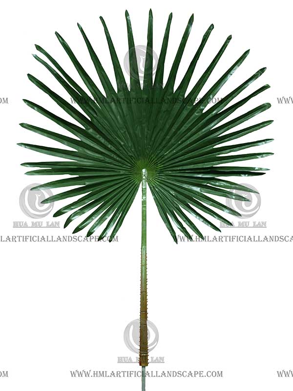 �����ȿ�Ҷ