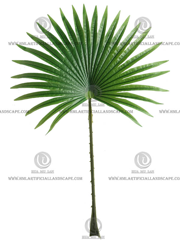 �����ȿ�Ҷ