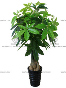 ���ӷ�����