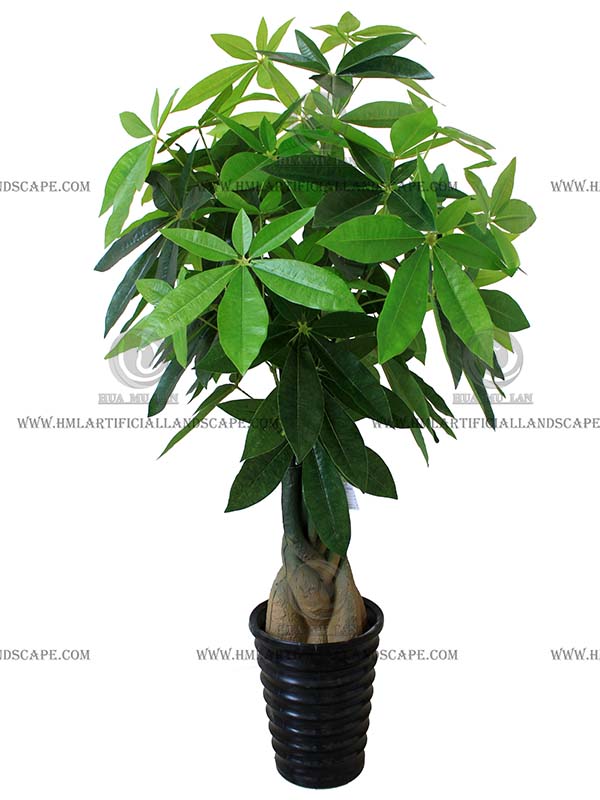 ���ӷ�����