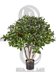 ���ַ���