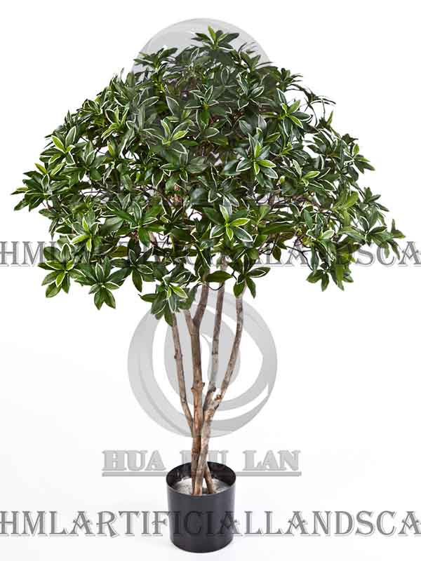 ���ַ���