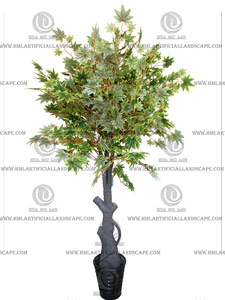 �ձ�����