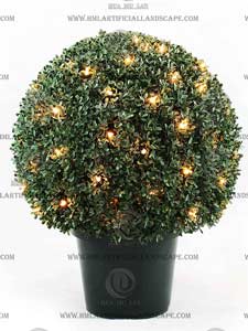 ʥ������