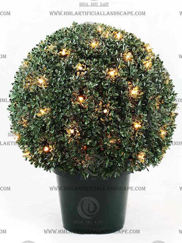 ʥ������