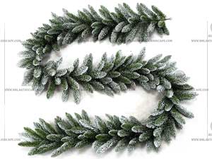 ʥ������