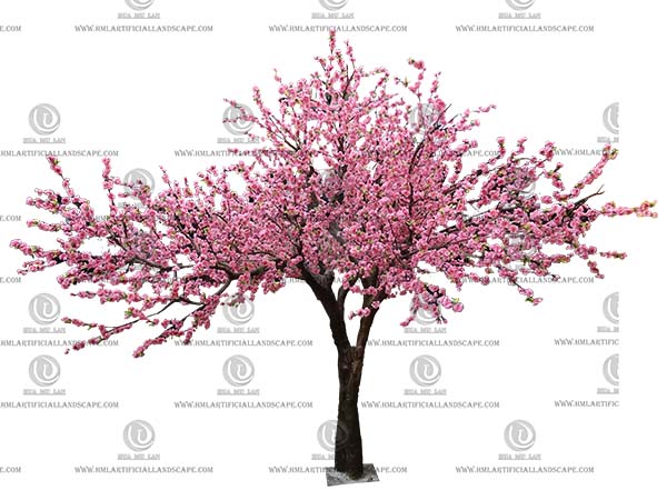 �����һ���