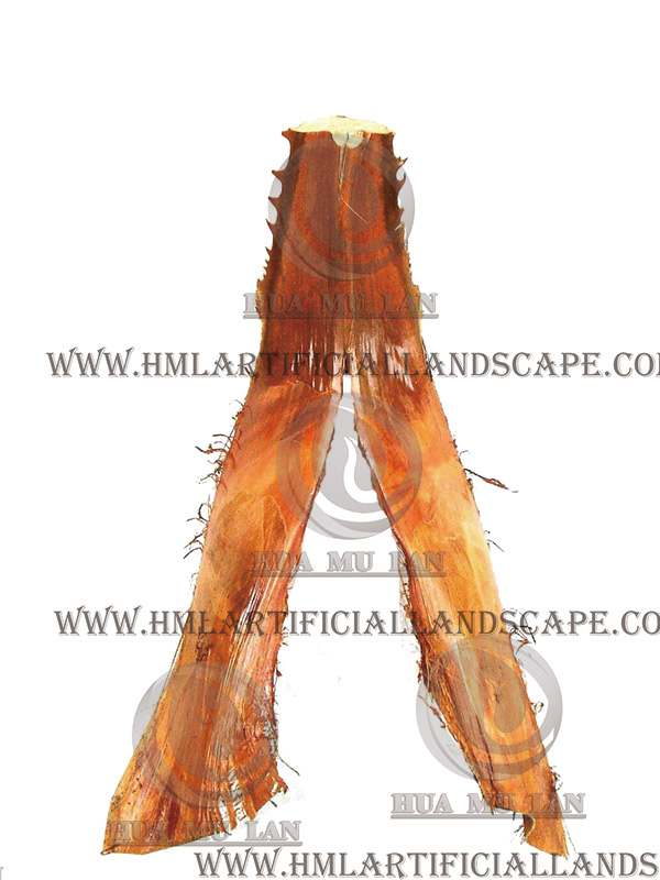 ��������Ƥ