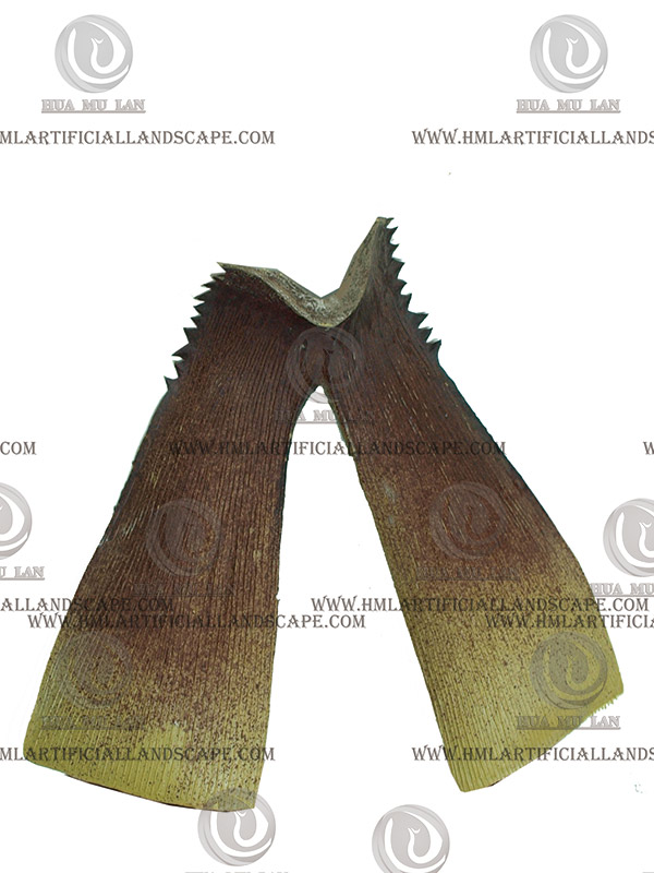 ����Ƥ��ǳ��