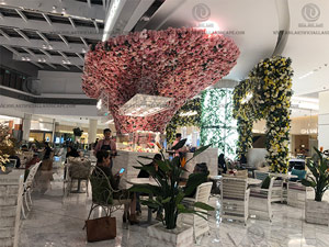 �ϰ��̳�ֲ��ǽ