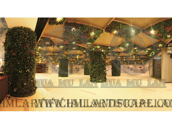 ���������̳�ֲ��ǽ